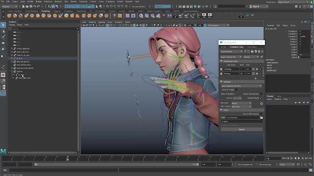 3D animation Rig
